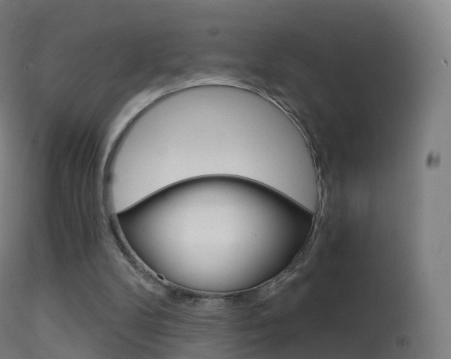 X0000114670104200910211018