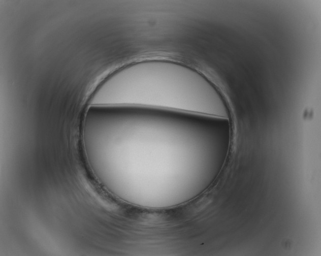 X0000114670107200910211018