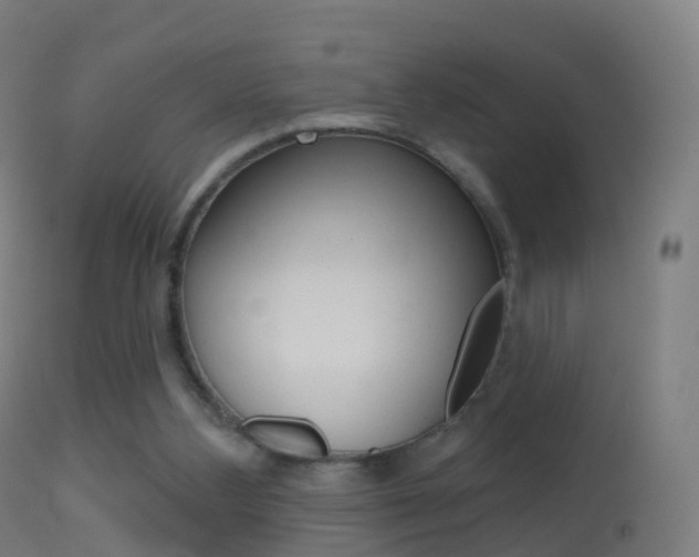 X0000114670108200910211018