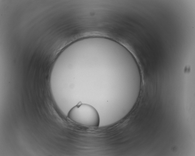 X0000114670109200910211018