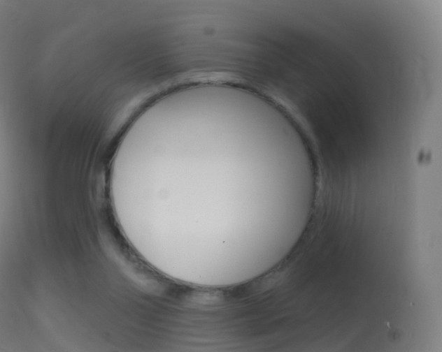 X0000114670110200910211018