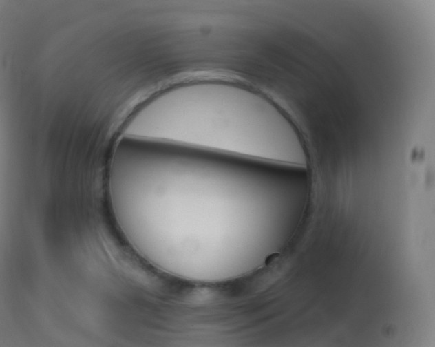 X0000114670111200910211018