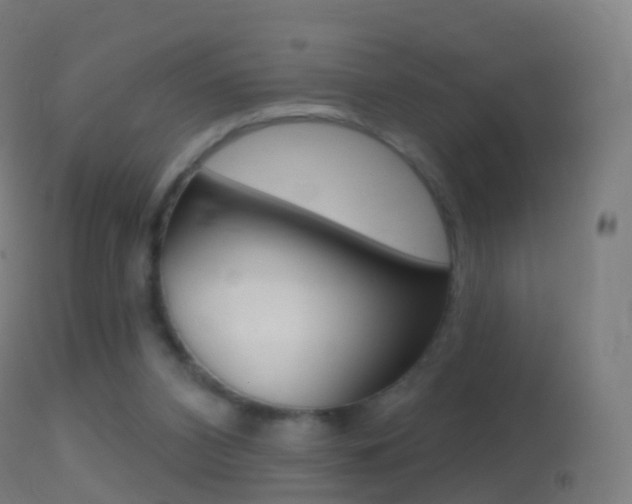 X0000114670112200910211018