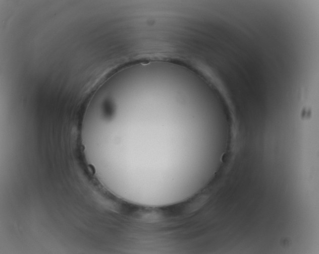 X0000114670113200910211018