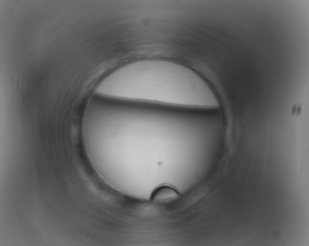 X0000114670115200910211018