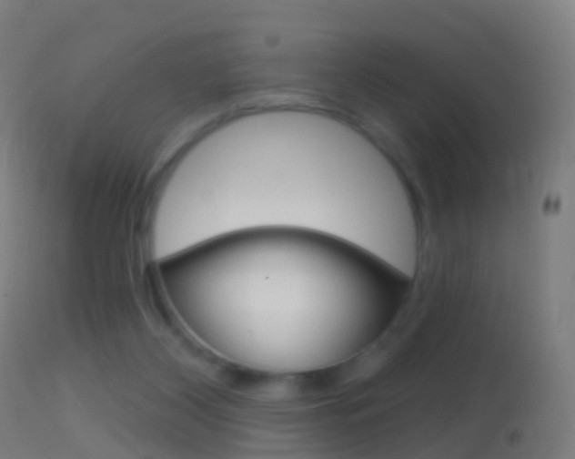 X0000114670116200910211018