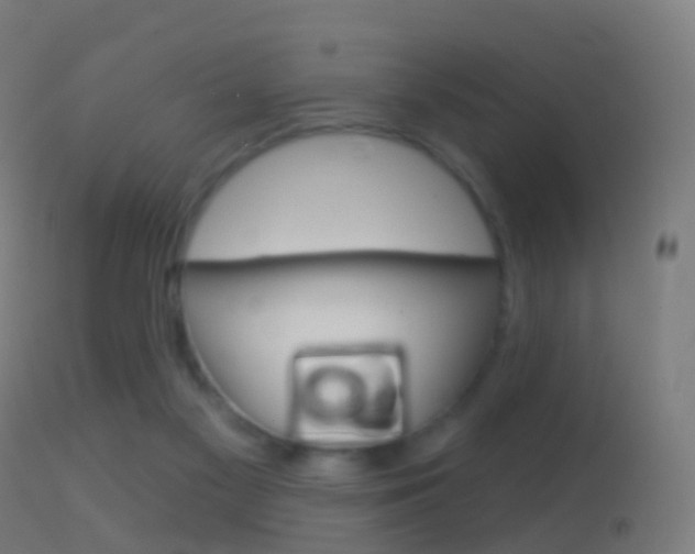 X0000114670117200910211018