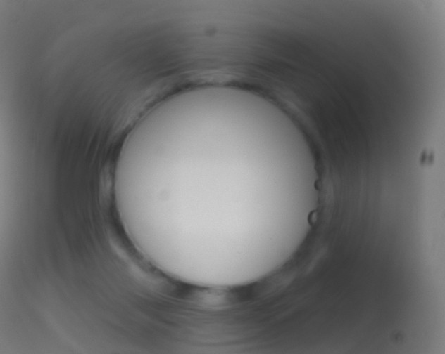 X0000114670118200910211018