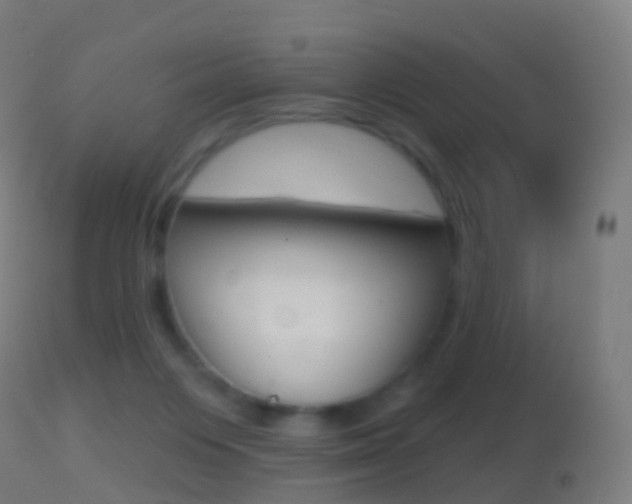 X0000114670119200910211018