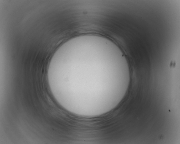 X0000114670121200910211018
