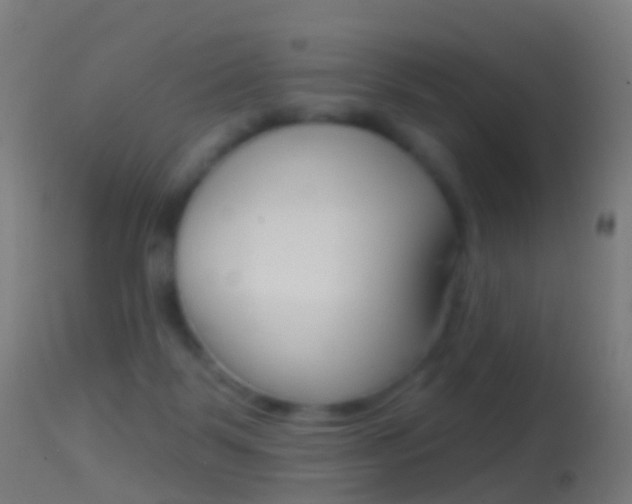 X0000114670123200910211018