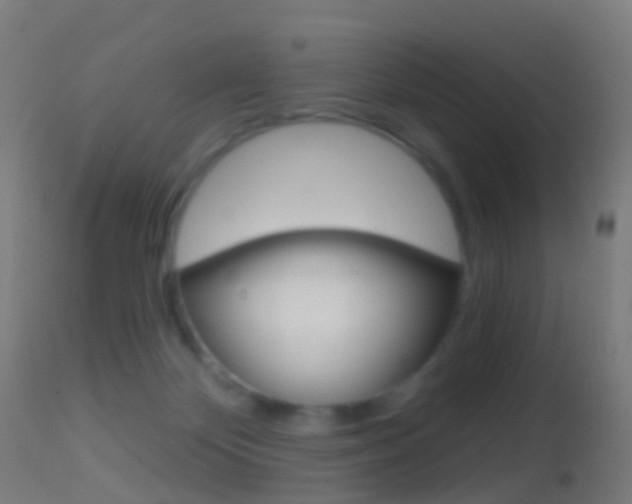 X0000114670124200910211018