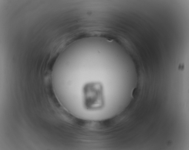 X0000114670125200910211018