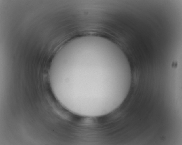 X0000114670126200910211018