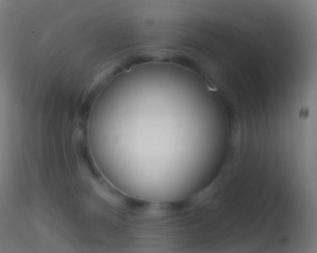 X0000114670128200910211018