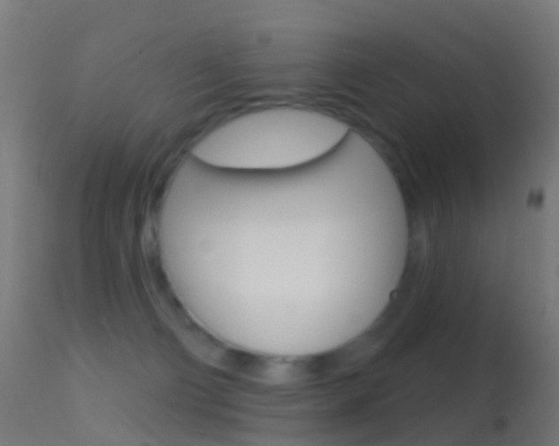 X0000114670130200910211018