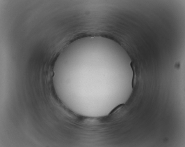 X0000114670133200910211018