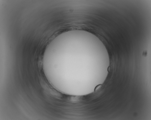 X0000114670134200910211018
