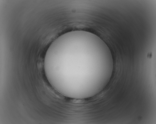 X0000114670135200910211018