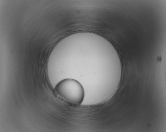 X0000114670136200910211018