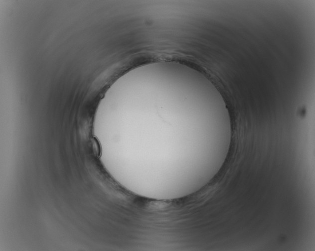 X0000114670139200910211018