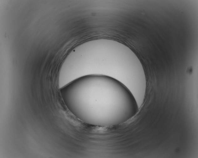 X0000114670140200910211018