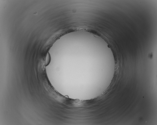 X0000114670142200910211018