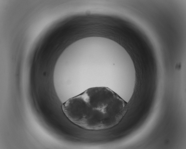 X0000114670143200910211018
