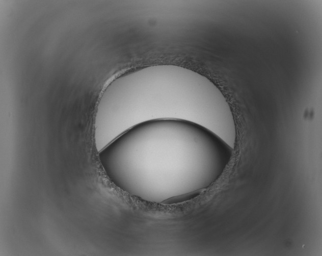 X0000114670144200910211018