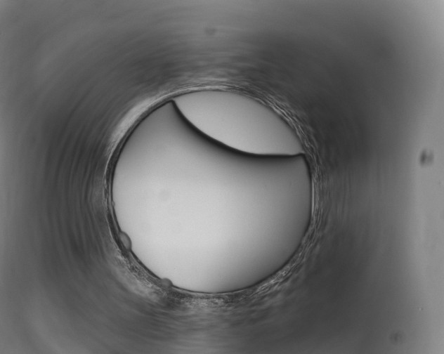 X0000114670147200910211017