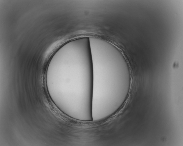 X0000114670149200910211017