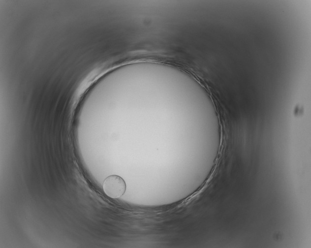X0000114670150200910211017