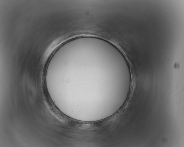 X0000114670151200910211017