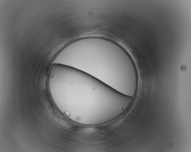 X0000114670153200910211017