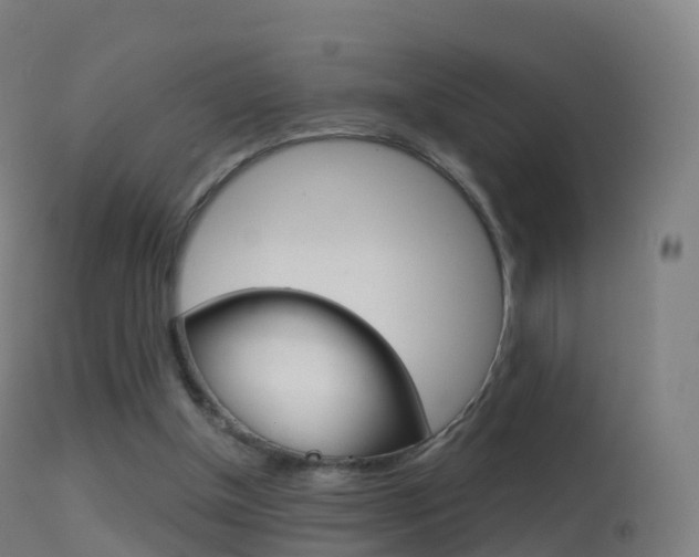 X0000114670154200910211017