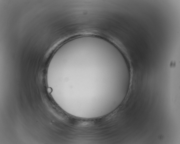 X0000114670155200910211017