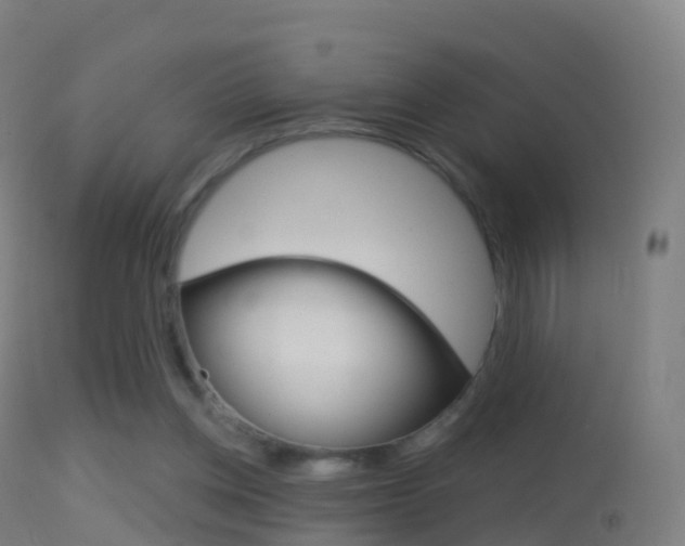 X0000114670158200910211017