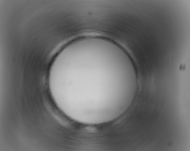 X0000114670159200910211017