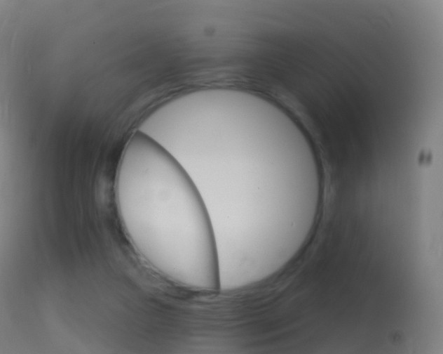 X0000114670161200910211017