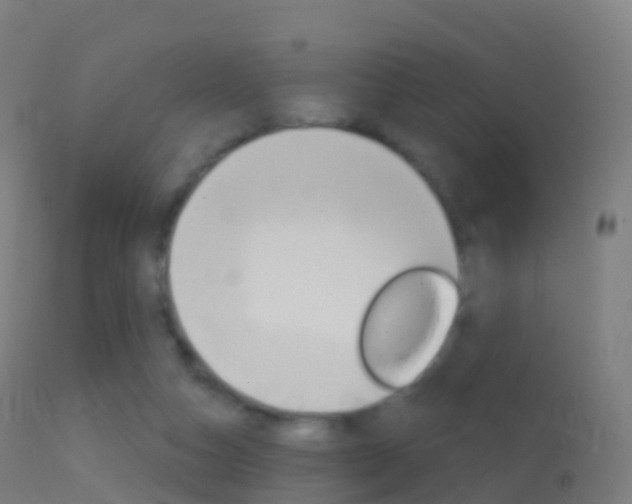 X0000114670162200910211017