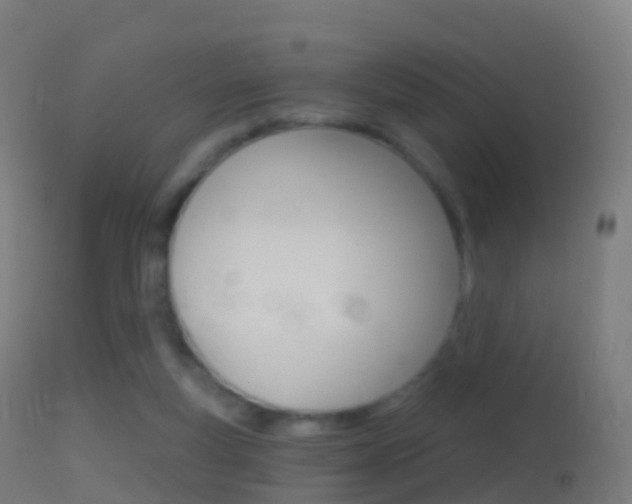 X0000114670163200910211017