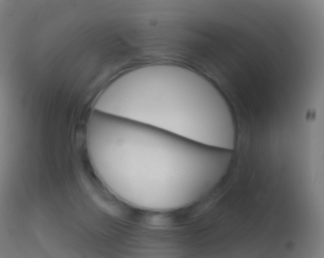 X0000114670165200910211017