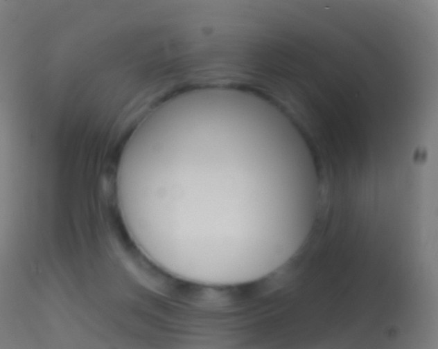 X0000114670166200910211017
