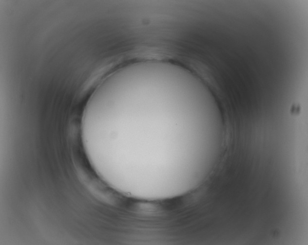 X0000114670167200910211017