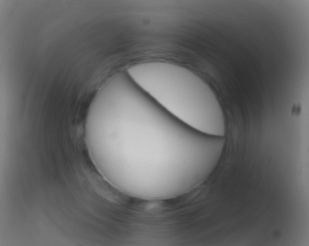 X0000114670173200910211017