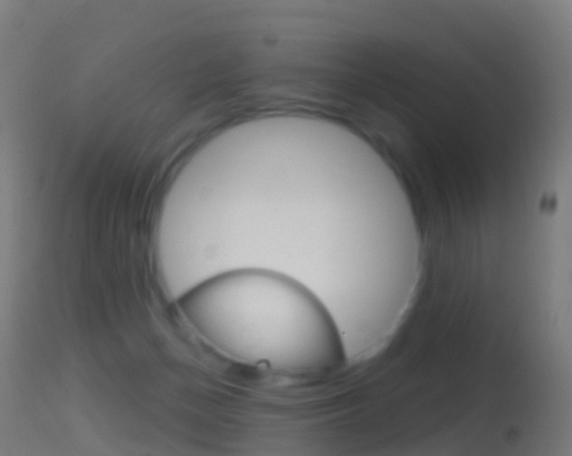 X0000114670174200910211017