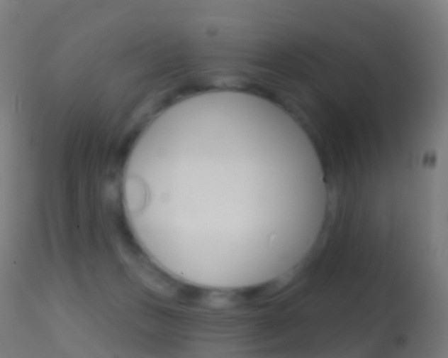 X0000114670175200910211017