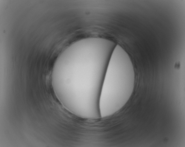 X0000114670177200910211017