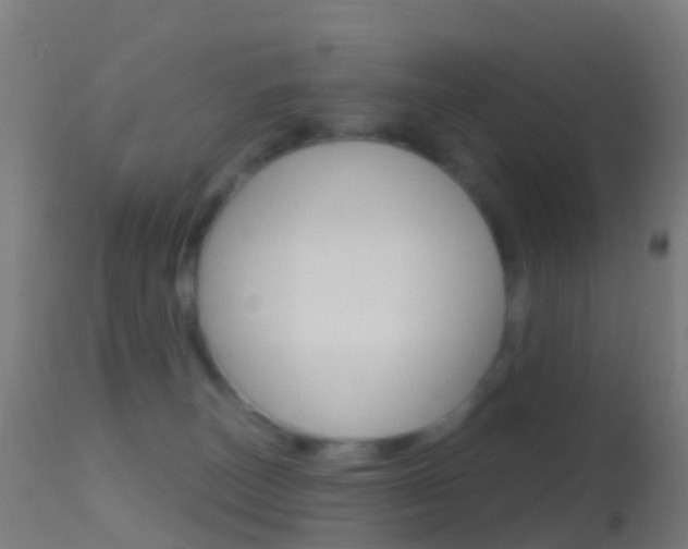X0000114670179200910211017