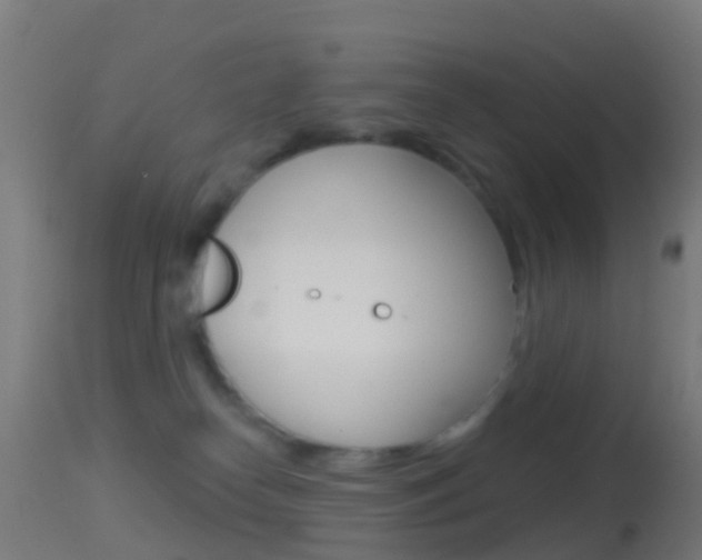 X0000114670182200910211017